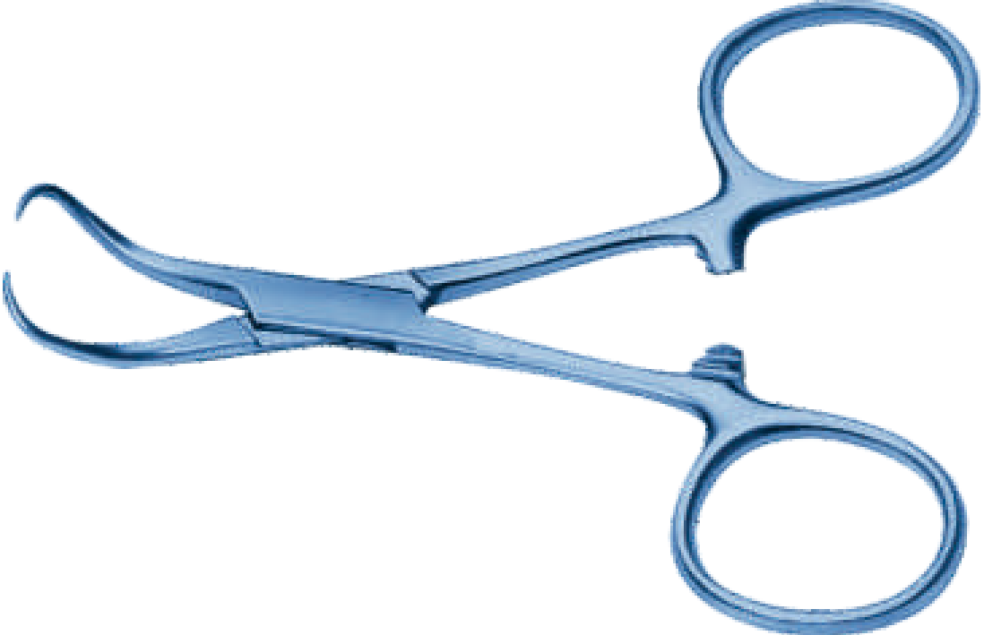 Backhaus Towel Forceps